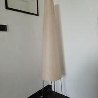 PIANTANA DESIGN CON PARALUME