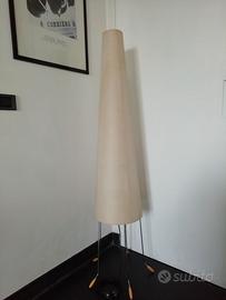 PIANTANA DESIGN CON PARALUME