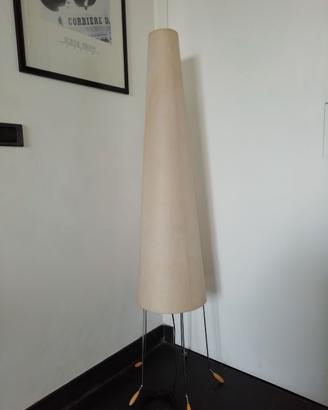 PIANTANA DESIGN CON PARALUME