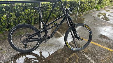 Canyon Torque 29 CF 2023