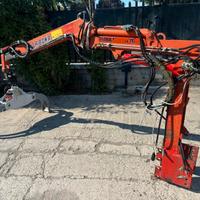 A161 BRACCIO CON PINZA FORESTALE - GRU