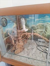 tega in vetro e legno per animali 