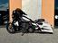 Immagine 7