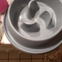 ciotola antingozzamento cane grande