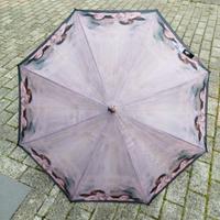 Ombrello arte Raffaello