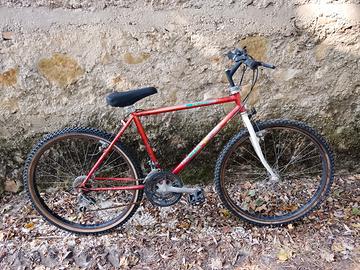 bici Tempest 2000 