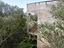 Immagine 18