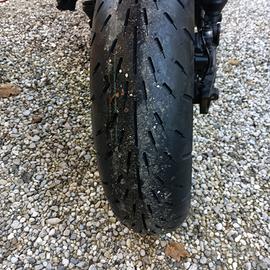 SWM Ace of Spades 500 - 2019