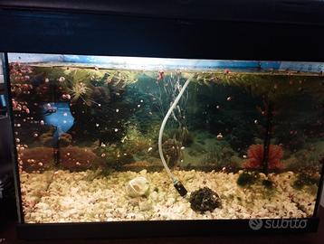 Acquario con pompa e ossigenatore