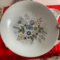 Servzio piatti x6