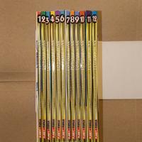 Manga LODOSS WAR - Serie completa