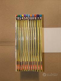 Manga LODOSS WAR - Serie completa