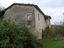 Immagine 7