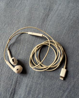 Earpods apple lighting