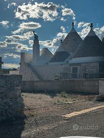 Autista NCC o C-CQC CAMION, ESCLUSIVO WEEK END