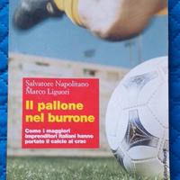 Il pallone nel burrone