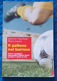 Il pallone nel burrone
