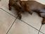 Immagine 3