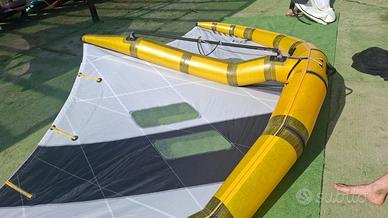 Wing Gold Wing Carbon Boom RRD Alula