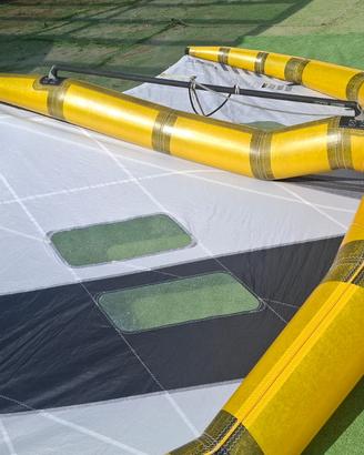 Wing Gold Wing Carbon Boom RRD Alula