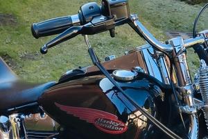 Springer Softail FXSTS