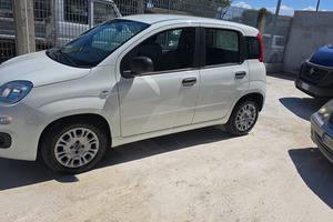 FIAT PANDA 1.0
