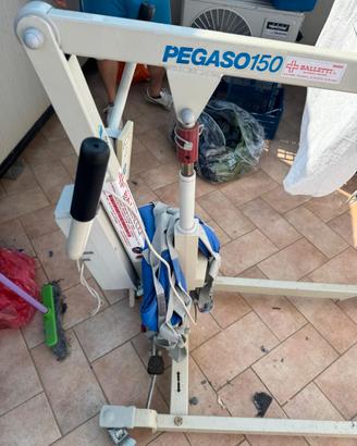 Sollevatore per disabili