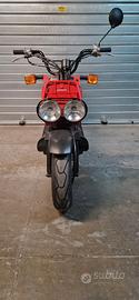Honda Zoomer 50