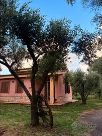 Villetta a 10km da Pizzo