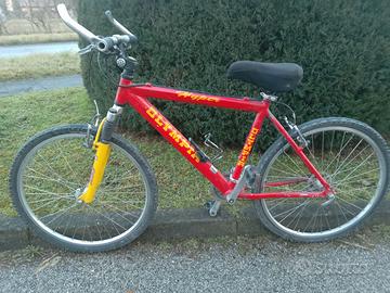 Bicicletta Mountain bike