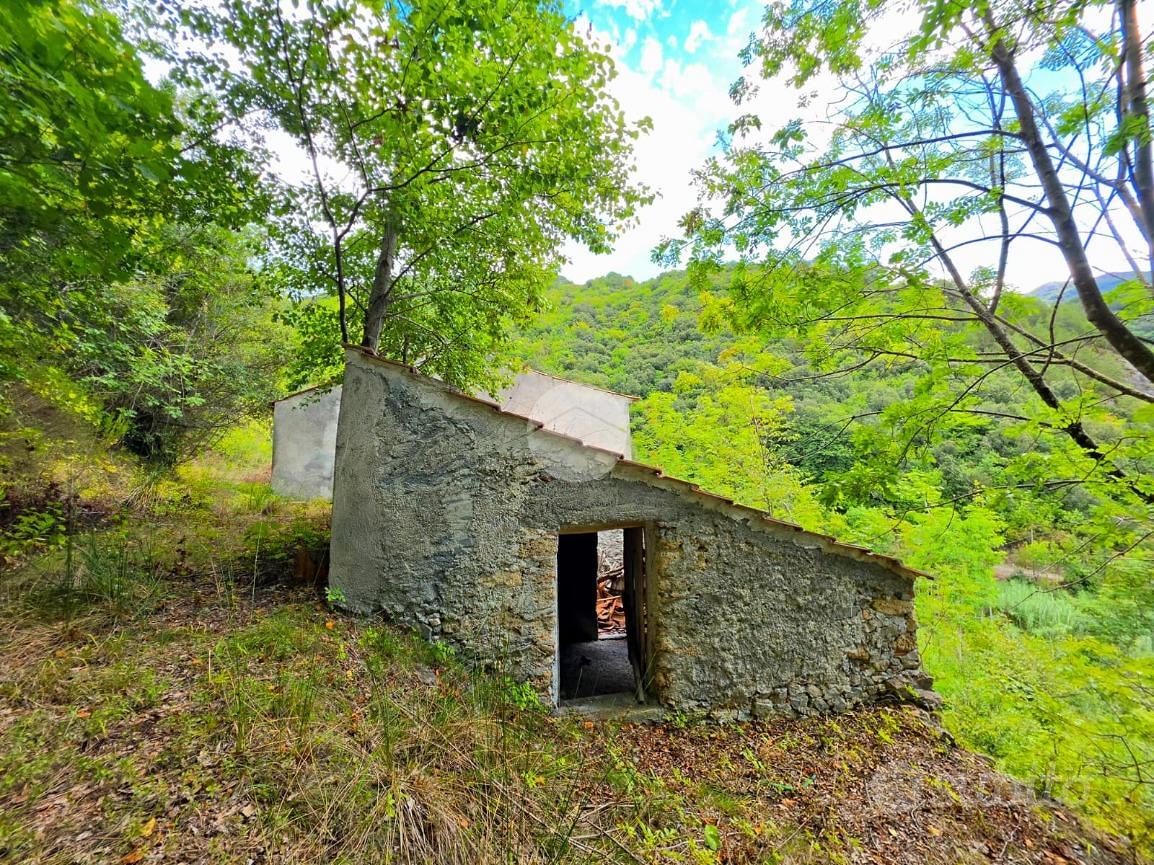 RUSTICO A TORTORA - Vista 3