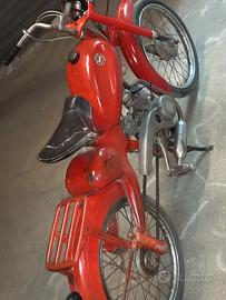 motom superelle leggete bene 