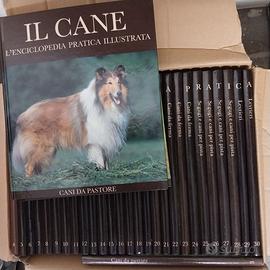 enciclopedia del cane