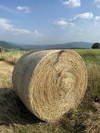 Vendita rotoli fieno