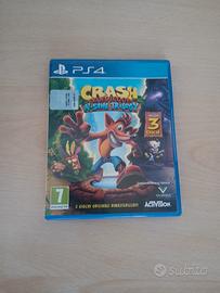 Crash bandicoot