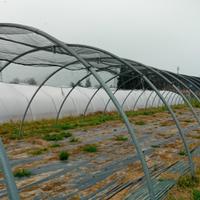 SERRE S TUNNEL 2 TIPI