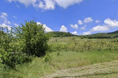 Immobile in asta di 2535 m² a Borgoratto Mormorolo