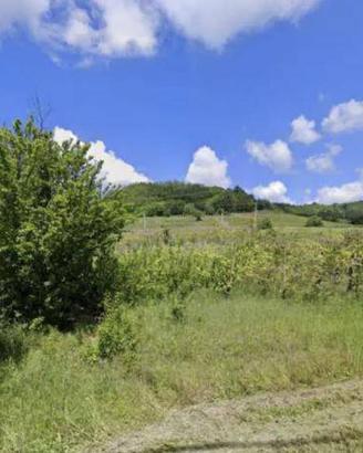 Immobile in asta di 2535 m² a Borgoratto Mormorolo