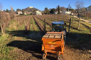 Berti PICKER/C 140 – Trincia con pick-up