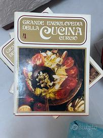 Grande enciclopedia della chcina Curcio