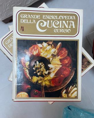 Grande enciclopedia della chcina Curcio
