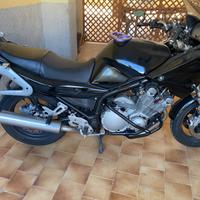 Yamaha XJ 900 Diversion - 1995