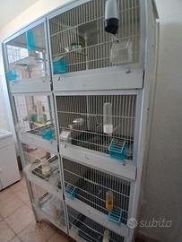 Batteria di gabbie per canarini 8 posti