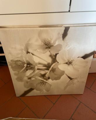 Quadro