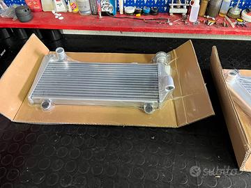 Radiatori 1199 ducati