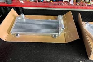 Radiatori 1199 ducati