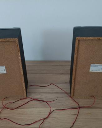 Coppia di Casse Passive Sony originali