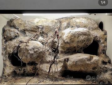 Teca legno 3D - deserticola