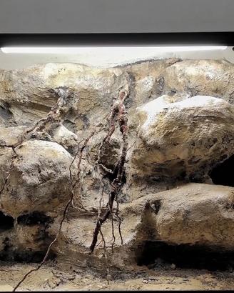 Teca legno 3D - deserticola