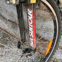 Bicicletta giant per ragazzo/a